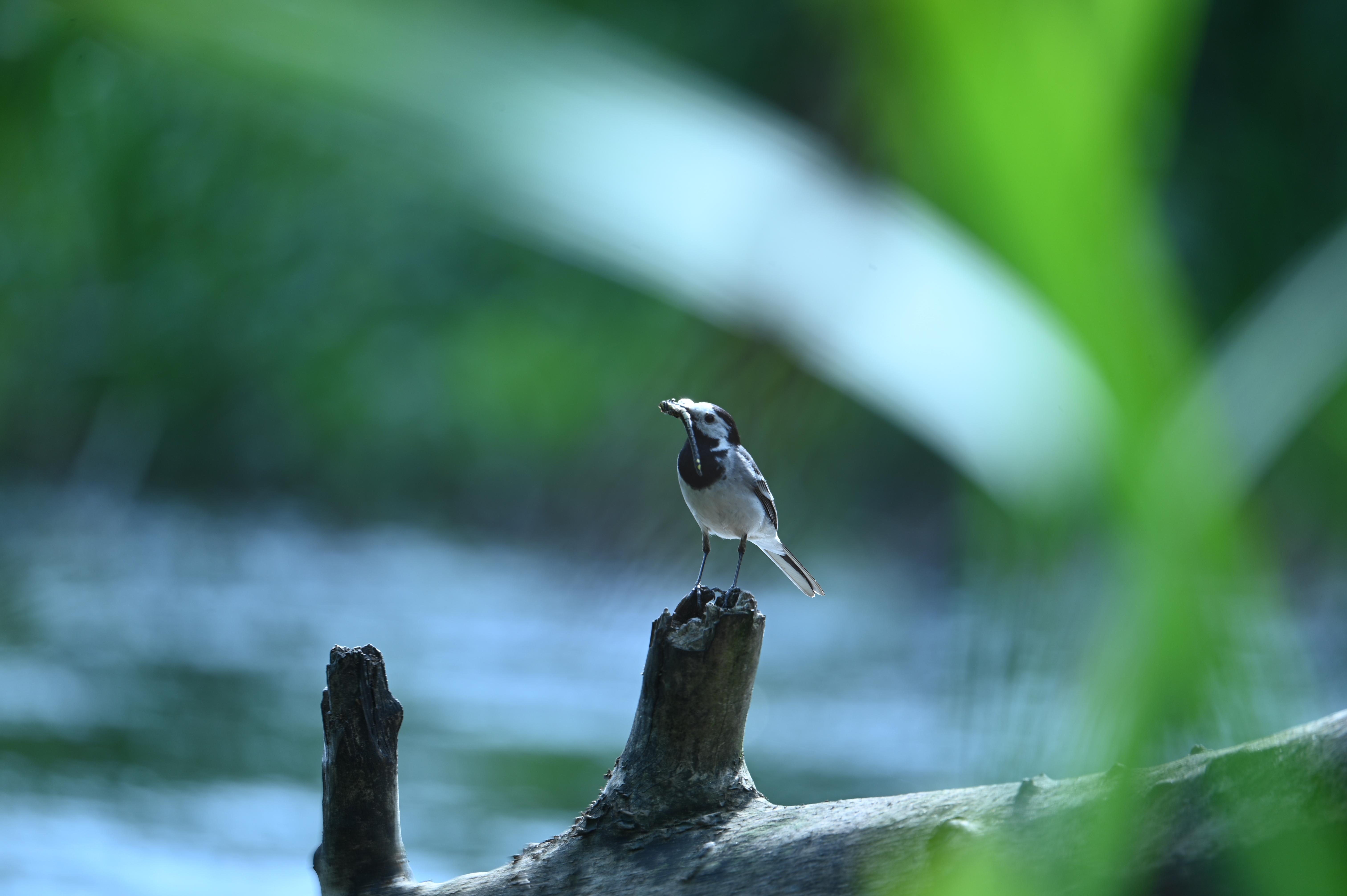 2025/07/09-14 - trip/DSC_0476.JPG